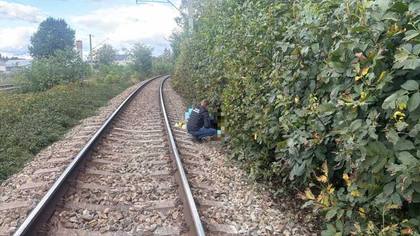 Bărbat de 55 de ani, lovit mortal de tren la Roman. Poliția spune că se afla la cules de nuci
