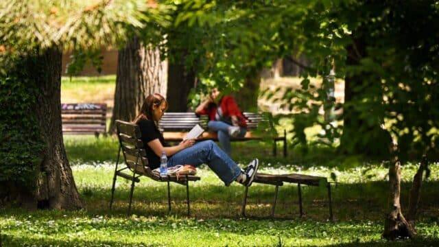 Criza traducerilor: Literatura macedoneană, izolată internațional