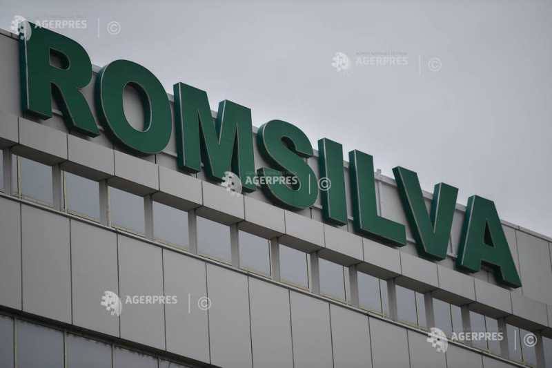 Romsilva pregătește un contract de 2,38 milioane de lei pentru pădurile Ocolului Silvic Brad